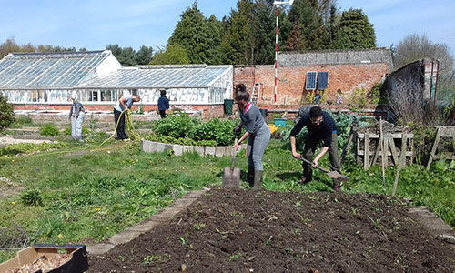 Taking care of our Garden Farm