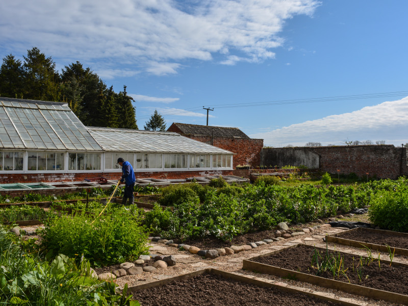 Watering our beds