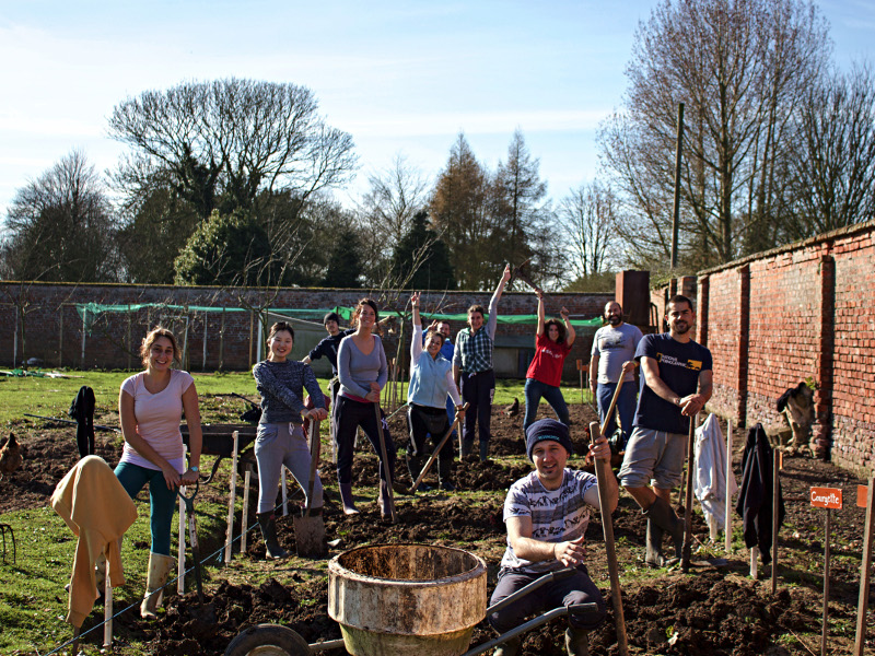 Planting potatoes