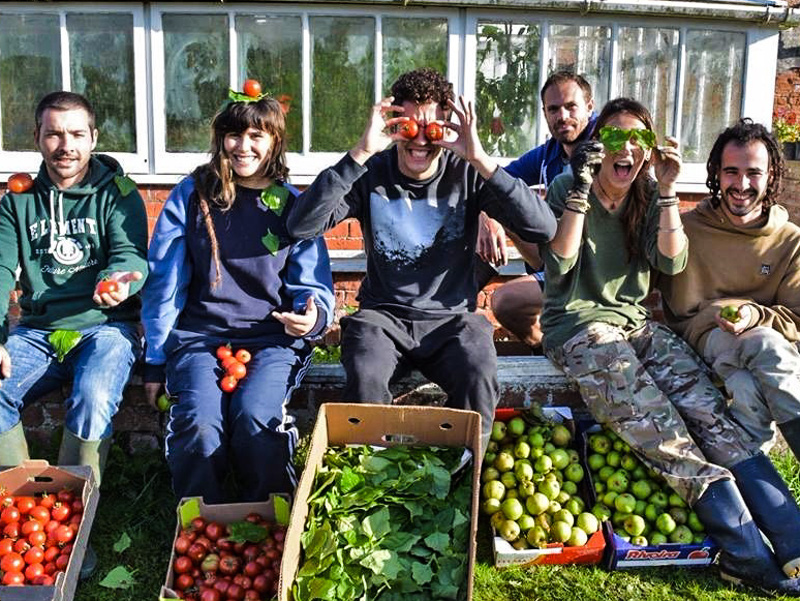 Harvesting our garden