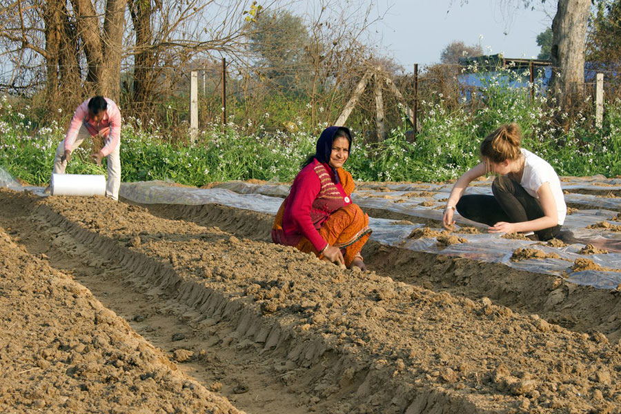 Planting Together