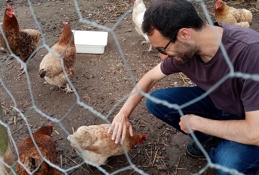 Marie-Carmen is a talkative chicken, good friends with our volunteer Jamie
