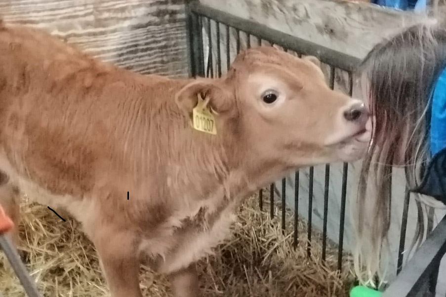 Making new friends!