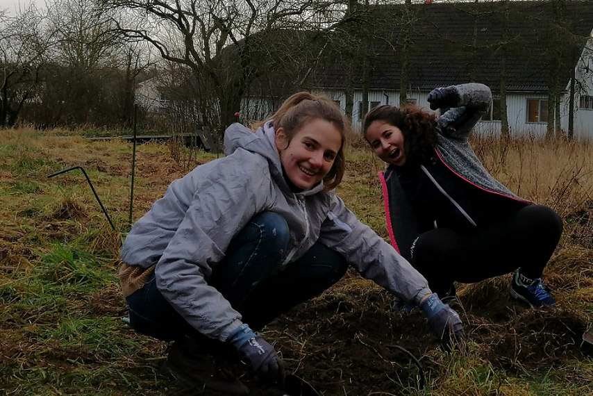 Helping in the organic garden farm