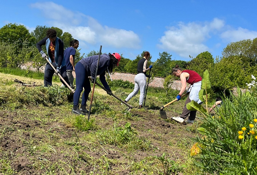 All hands on deck in our organic garden farm