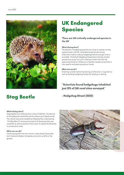 UK Endangered Species (Opens PDF)