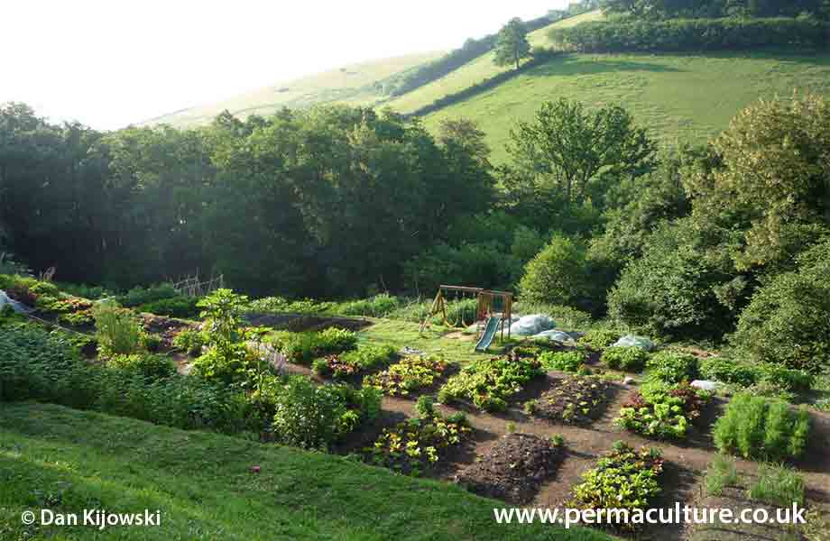 Permaculture Life
