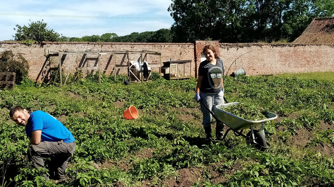 Mon and Roula in the potato field