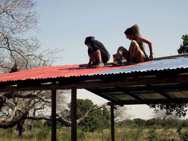 Fixing roof of a school