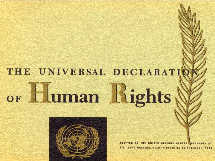 universal-declaration-of-human-rights-human-rights-important-subjects