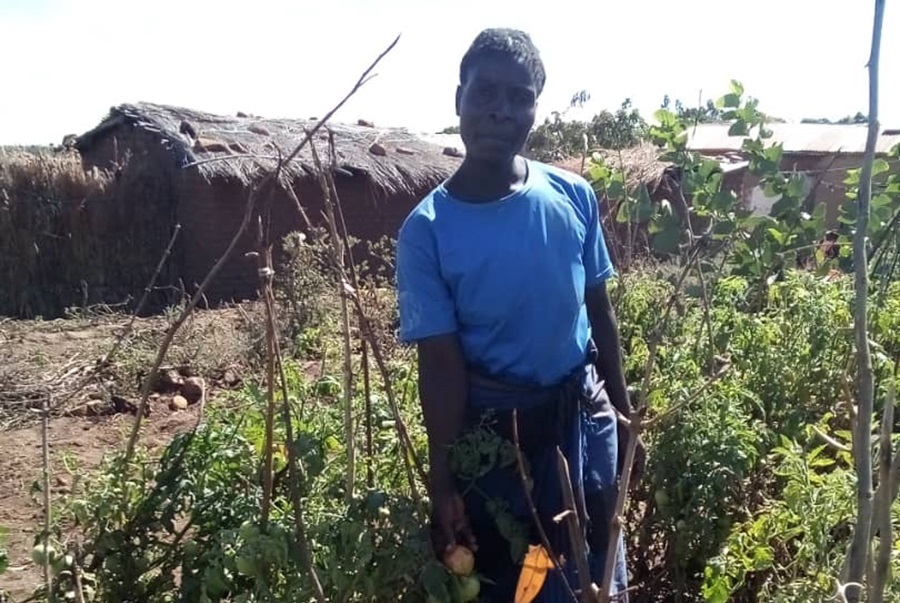 Growing vegetables to feed the children