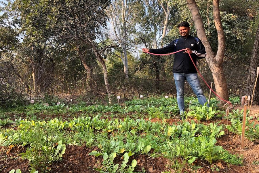 Watering the kitchen garden