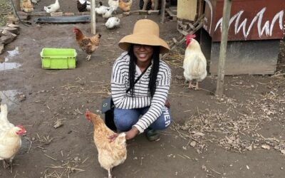 My first weeks as a WWOOF-er at CICD