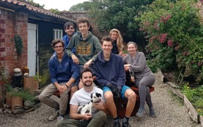 Interview with Ana: Taking care of CICD-s organic garden farm