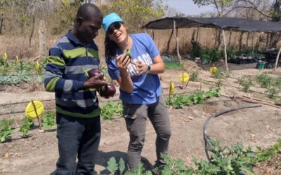 Volunteering with DAPP Young Farmers Club, Zambia